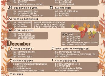 Korean Journal