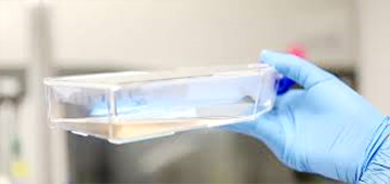 5. Hope Biosciences 코로나19 임상시험 FDA 승인 2 1