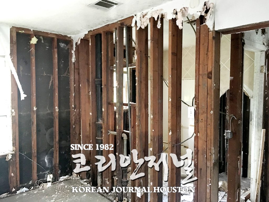 7 1. 해리스카운티 선거구 조정