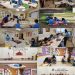 샌안토니오 한국학교소식 2 샌안토니오 한국학교소식
