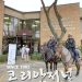 제20대 대통령선거 휴스턴 지역 재외투표 10 제20대 대통령선거 휴스턴 지역 재외투표