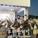늦은 밤까지 K-Pop 찐 사랑팬 열기 후끈 7 늦은 밤까지 K-Pop 찐 사랑팬 열기 후끈