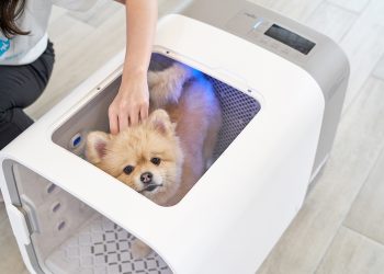“반려 동물을 내 가족처럼”…쿠쿠 신개념 ‘펫 가전’ 출시