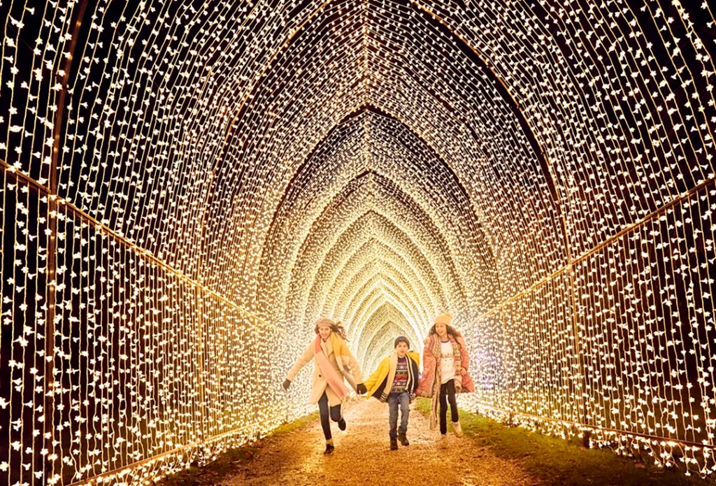 6. 6 Lightscape at Houston Botanic Garden
