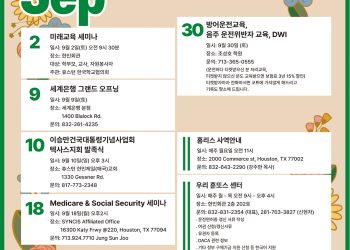 Korean Journal
