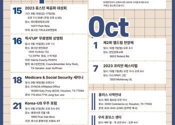 Korean Journal