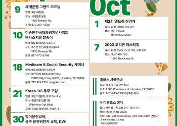 Korean Journal
