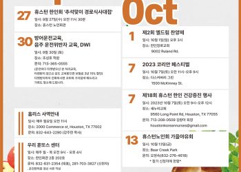 Korean Journal