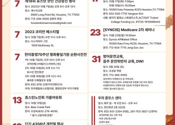 Korean Journal