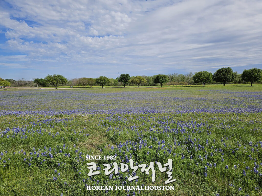 4 1. 청우회 블루보넷 봄 야유회 2