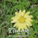 독자 기고 / Elisa’s 노트 - 맥알렌의 3월 7 독자 기고 / Elisa’s 노트 – 맥알렌의 3월