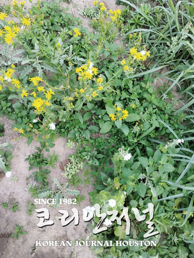 맥알렌 Elisas 노트 4