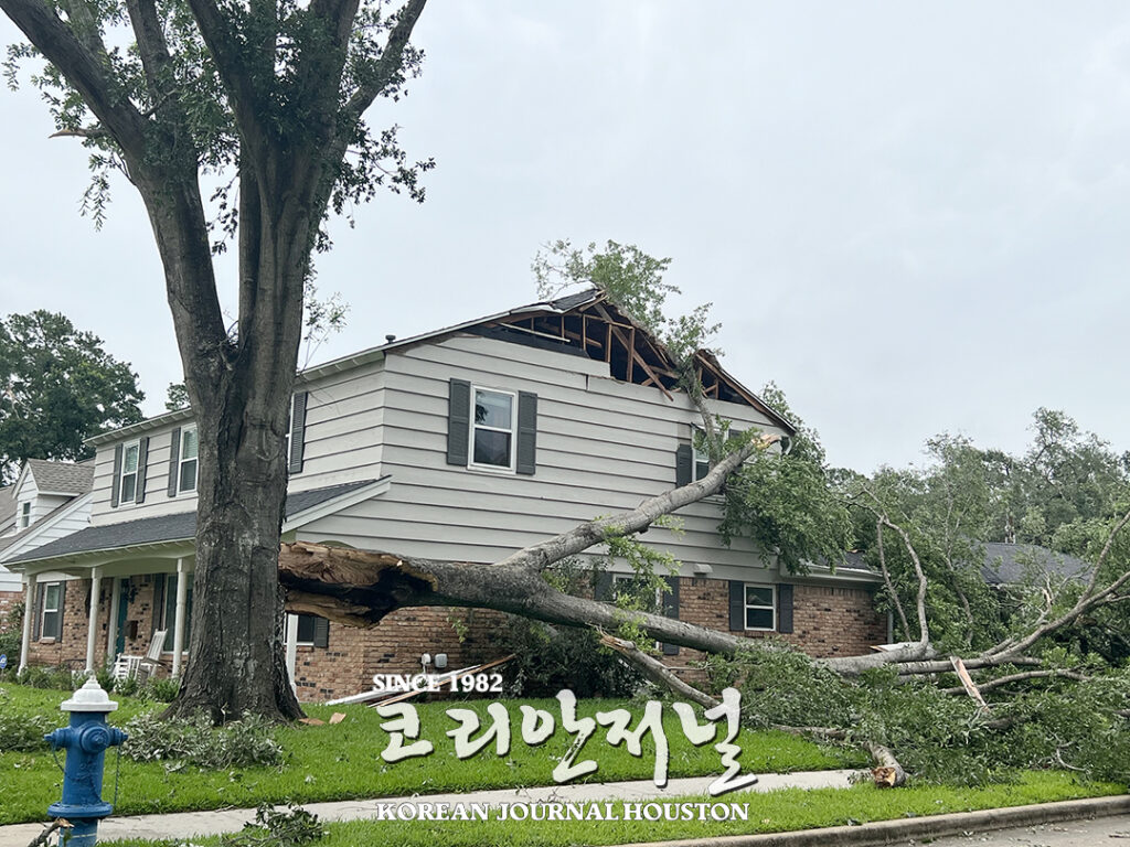 5. 주택 보험 위기 1