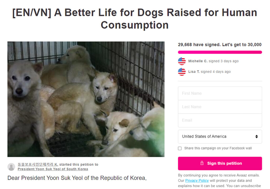 8 1. 휴스턴에서도 식용견 구제 국민청원 운동 확산