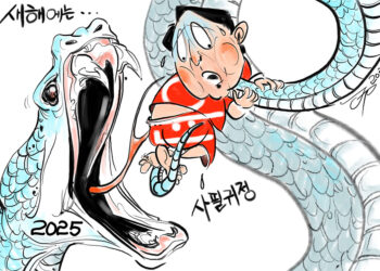 시사만평 1/3/2025