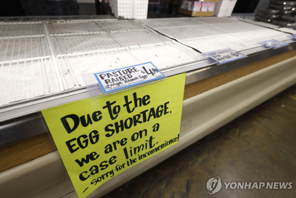 7 2 황란이 된 계란 개당 1달러 파는 곳도 나와