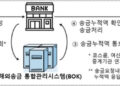 ‘쪼개기 송금’ 막는다…내년부터 해외송금 통합시스템 가동