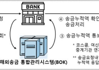 ‘쪼개기 송금’ 막는다…내년부터 해외송금 통합시스템 가동