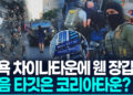 ‘뉴욕에 장갑차’ ICE 차이나타운 급습순간…다음은 코리아타운?