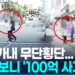 막무가내 무단횡단…잡고 보니 ‘100억 사기꾼’ 