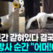 황새 폐사 고발당한 김해시…'땡볕에 100분' 방사순간 "어머!" 11 황새 폐사 고발당한 김해시…’땡볕에 100분’ 방사순간 “어머!”