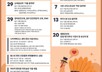 Korean Journal