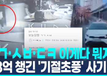 “공격수찾아요!”…23억원 뜯은 보험사기단, 공범 모집 어떻게?