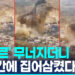 "접근금지무시"…민주콩고 광산 다리 붕괴로 수십명 사망 9 “접근금지무시”…민주콩고 광산 다리 붕괴로 수십명 사망