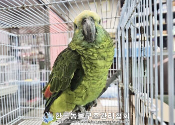카페서 ‘홀짝홀짝’ 손님 커피 마시다 걸린 앵무새