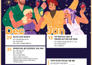 Korean Journal