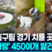 홍명보호 경기할 도시에서 무더기 ‘시신가방’…”범죄조직 소행”