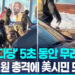 美시민에 5초 동안 10발…이민단속요원 총격에 또 사망 8 美시민에 5초 동안 10발…이민단속요원 총격에 또 사망