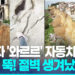 도로가 통째 '와르르' 4km 절벽 생겼다…시칠리아 산사태 '충격' 9 도로가 통째 ‘와르르’ 4km 절벽 생겼다…시칠리아 산사태 ‘충격’