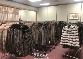 대호모피, 신년 맞이 ‘파격 특가’ 세일