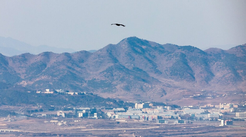 국방부, 'DMZ 공동관리' 美에 제안…유엔사 호응 여부 주목 1 5 파주 DMZ