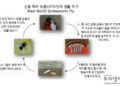 “60년 만에 돌아온 신종 구더기(파리 유충)” … “애봇 주지사 재난 선포(음성서비스)