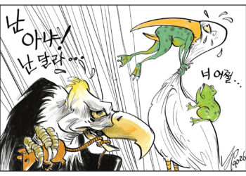 시사만평 5/8/2026