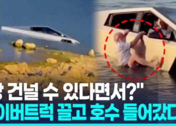 [영상] “잠수함이야? 사이버트럭이야?” 웨이드모드 켜고 들어갔는데