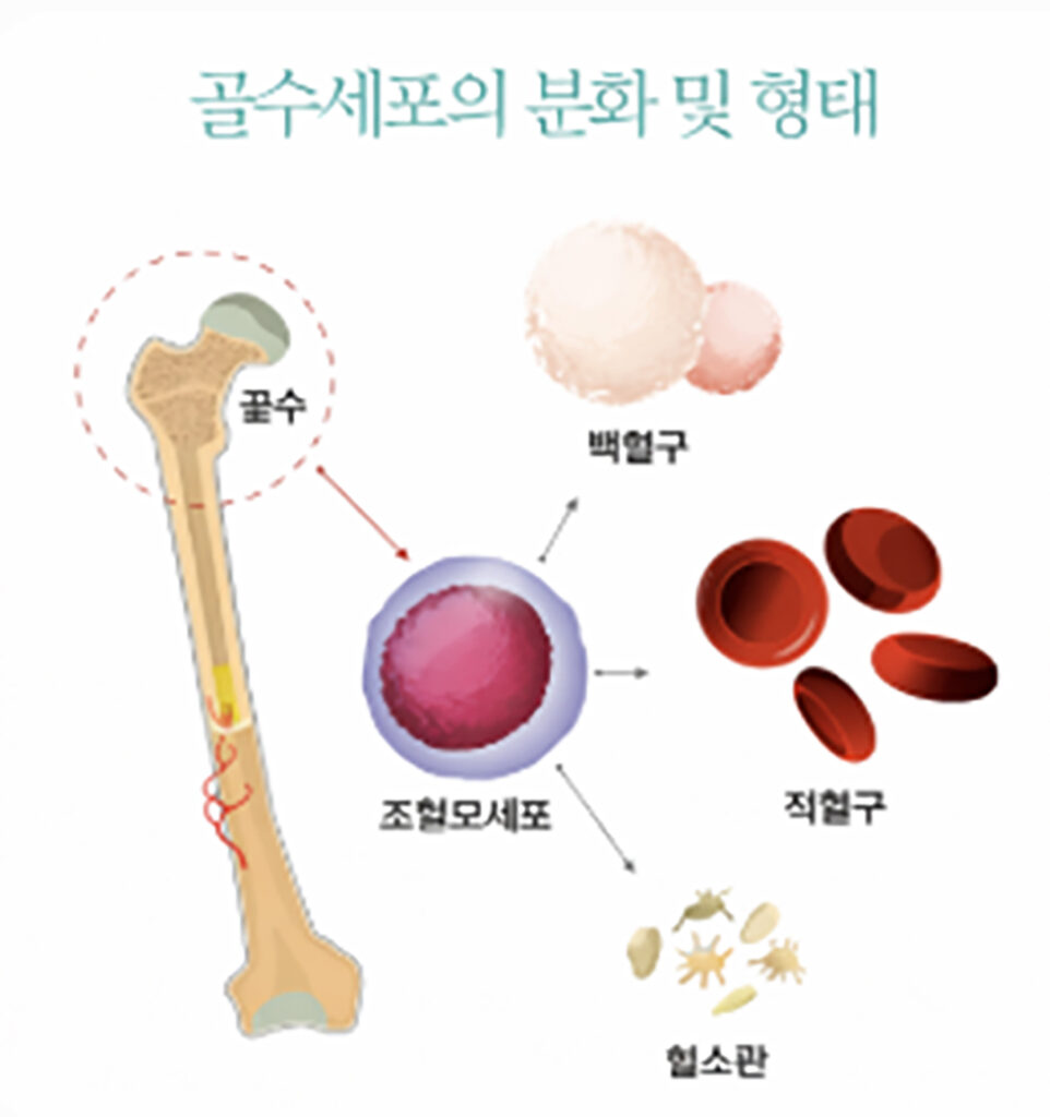 HealthColumn 1 052226