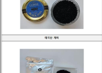 ‘요리에 개미 토핑’ 미슐랭2스타 레스토랑 대표 재판행