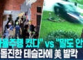 [영상] ‘오토파일럿’ 테슬라주택돌진…美교통당국특별조사