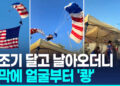 [영상] 나무에 성조기 걸리자 “오마이갓!”…美 축제장 추락 사고 ‘아찔’