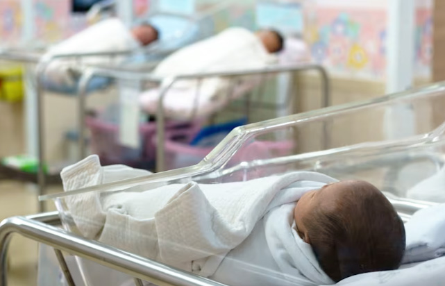 애벗 주지사, "원정 출산" 전면 단속 행정명령 서명(음성서비스) 1 Birth Tourism 0722i