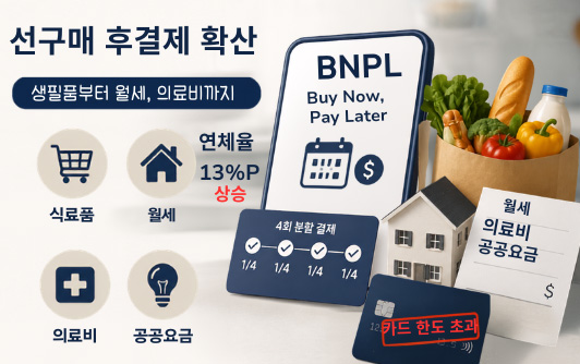 생필품까지 파고든 선구매 후결제(음성서비스) 1 BnPL 0721
