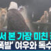 [영상] “살면서 본 가장 미친 장면”…독수리와 한 테이블, 여우 반응은