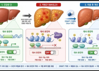 지방간’ 유전자 스위치 되돌려 치료…생명연, 새 치료표적 규명