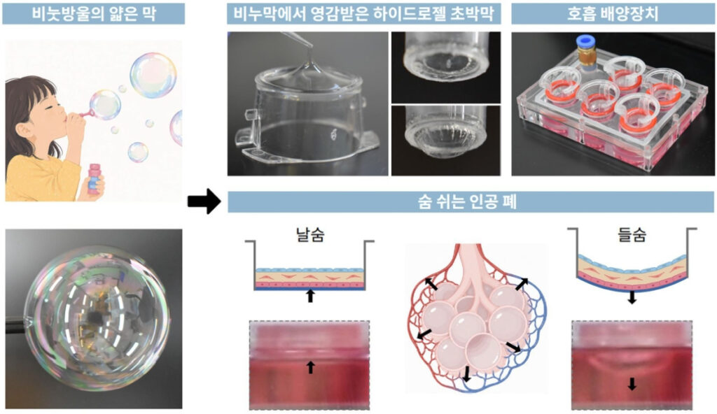Artificial Lung 0819