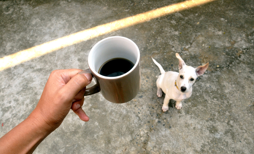 Morning Coffee 0822
