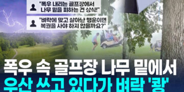 [영상] 미국서 골프장에 벼락…나무 아래 있던 남성 낙뢰에 부상