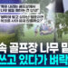 [영상] 미국서 골프장에 벼락…나무 아래 있던 남성 낙뢰에 부상